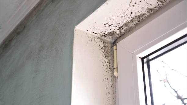 Water Damage Restoration in Leon, IA