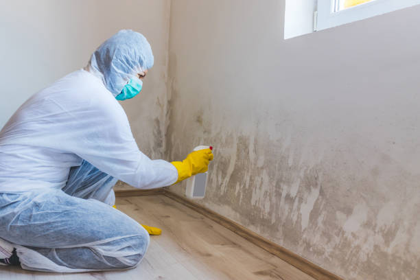 Crawl Space Mold Removal in Leon, IA